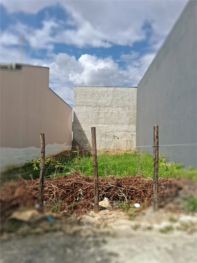 Foto REO1073617