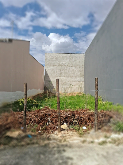 Foto REO1073617