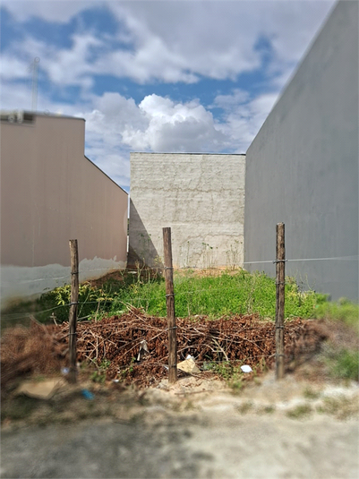 Foto REO1073617