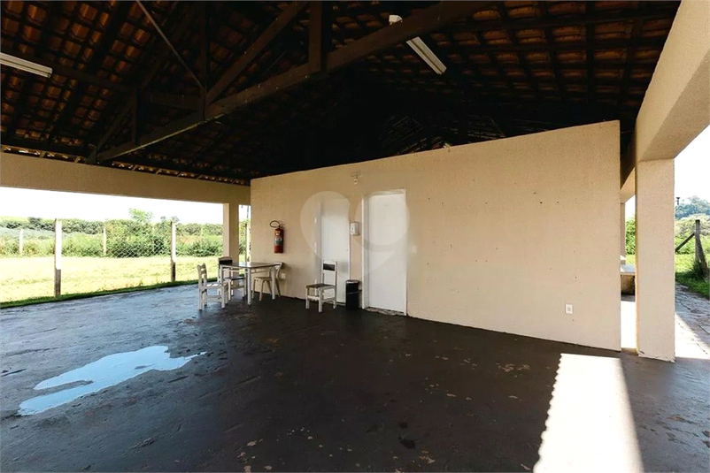 Foto REO1073620