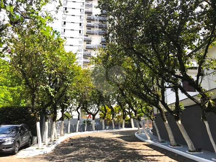 Foto REO1073624