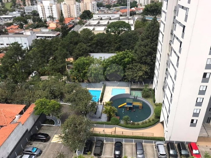 Foto REO1073624