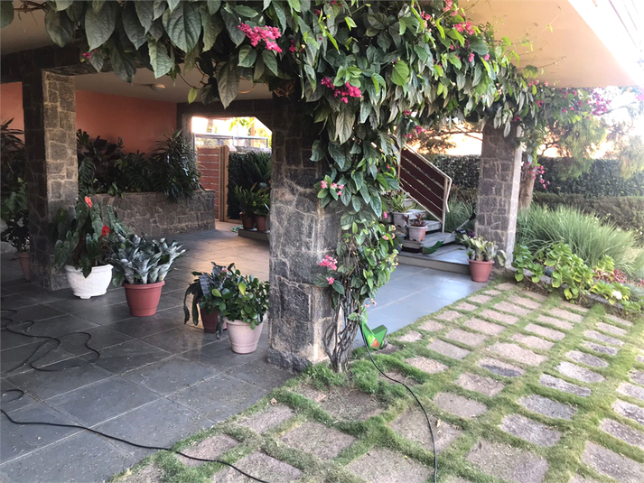 Foto REO1073639