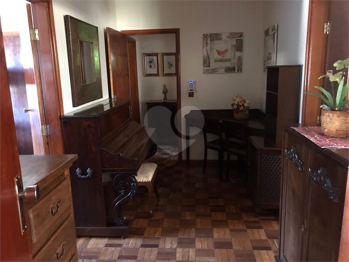 Foto REO1073639