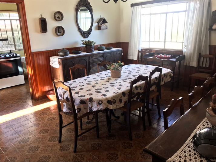 Foto REO1073639