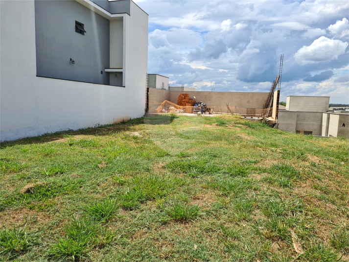 Foto REO1073641