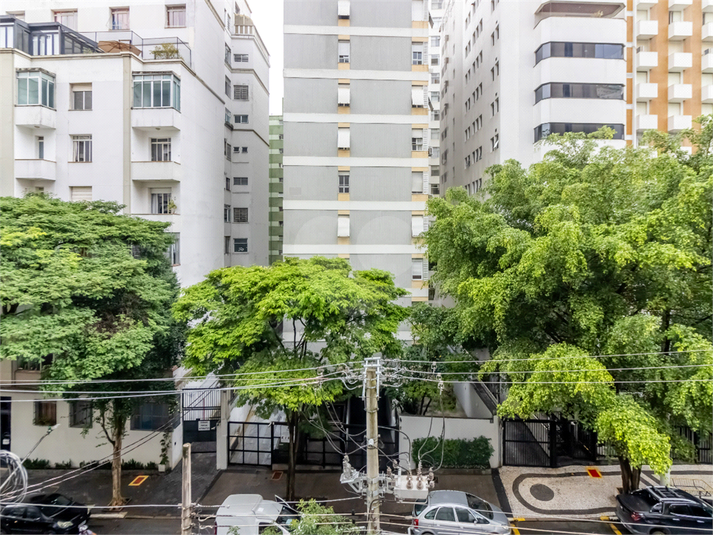 Foto REO1073679