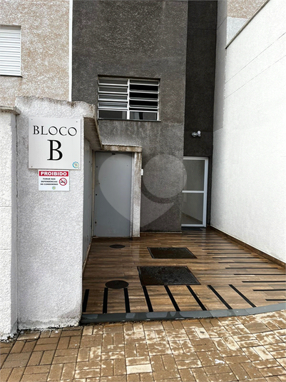Foto REO1073712