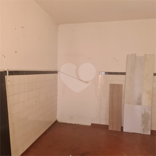 Foto REO1073714