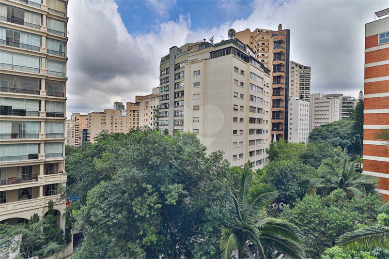 Foto REO1073720
