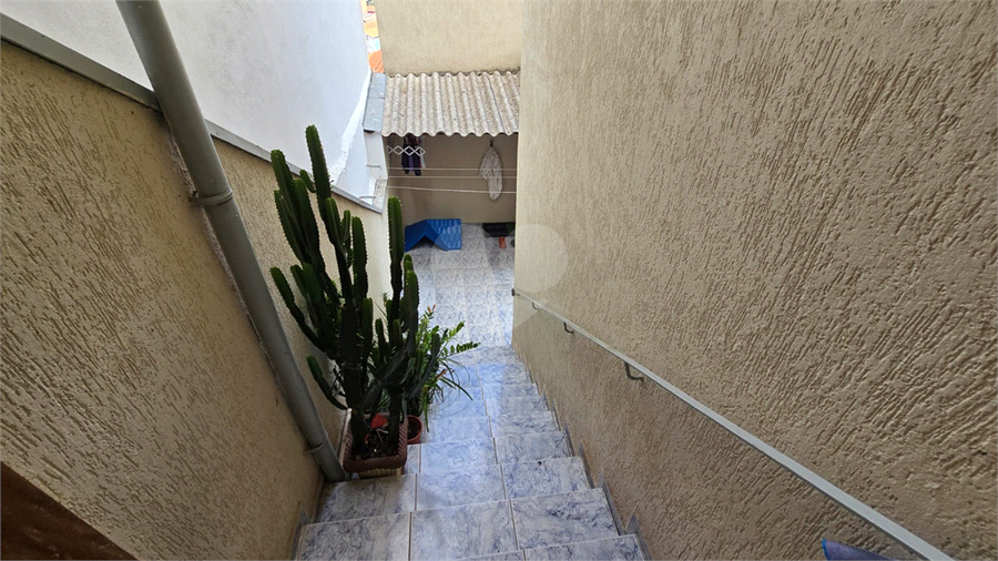 Foto REO1073722