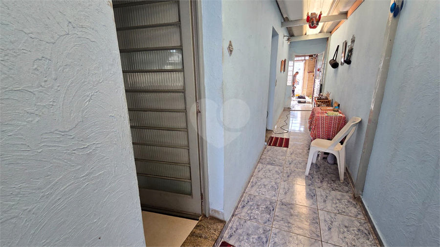 Foto REO1073722