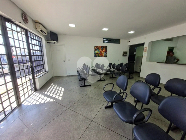 Foto REO1073742