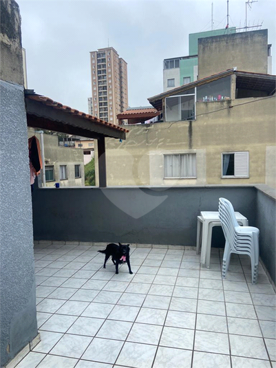 Foto REO1073748