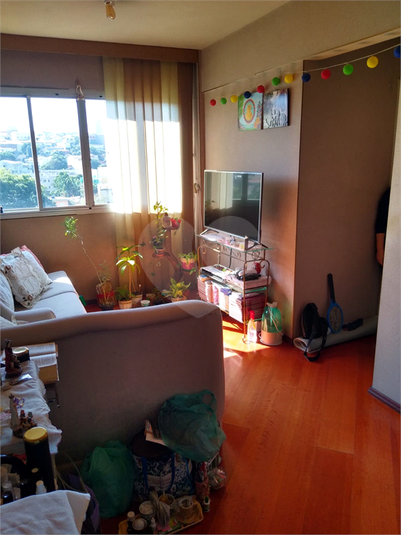 Foto REO1073763