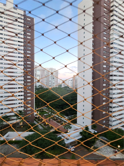 Foto REO1073773