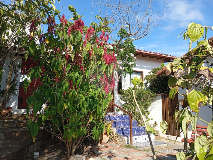 Foto REO1073799