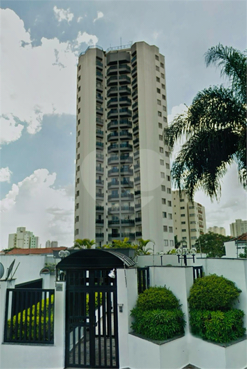 Foto REO1073816