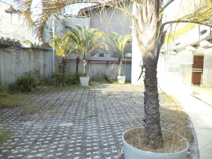 Foto REO107382