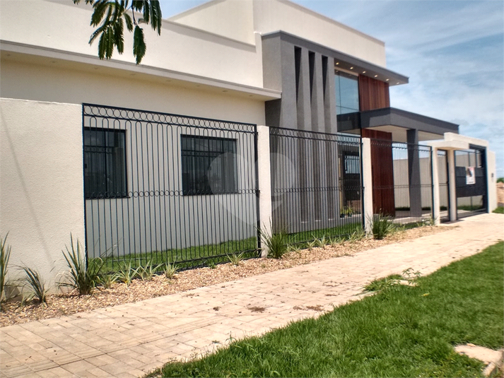 Foto REO1073822