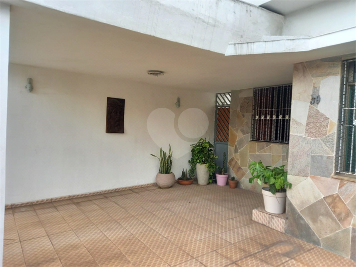 Foto REO1073832