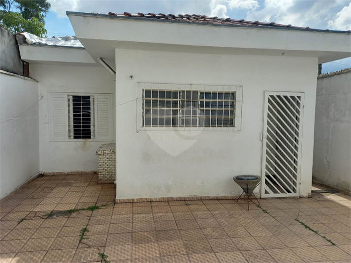 Foto REO1073832