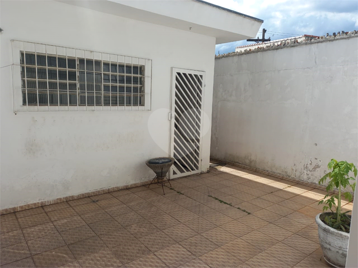 Foto REO1073832