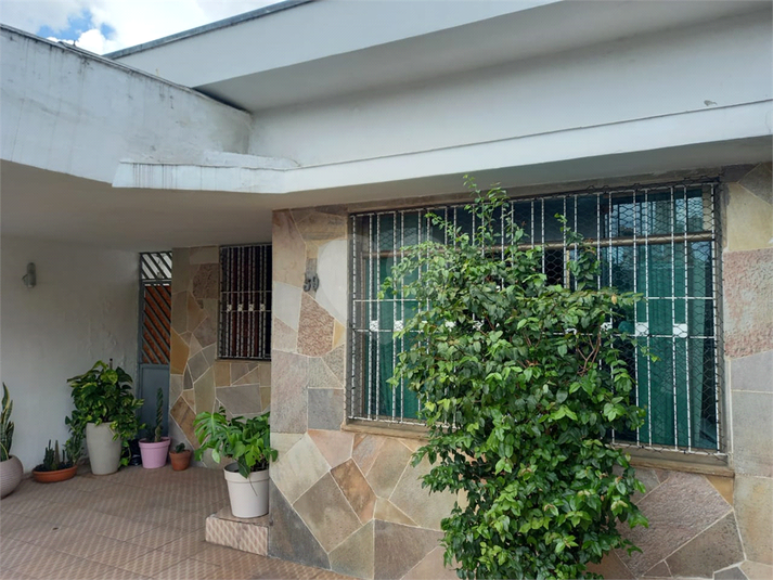 Foto REO1073832