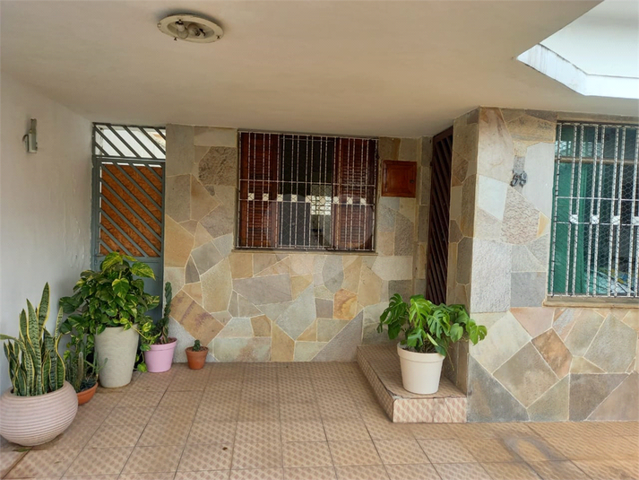 Foto REO1073832