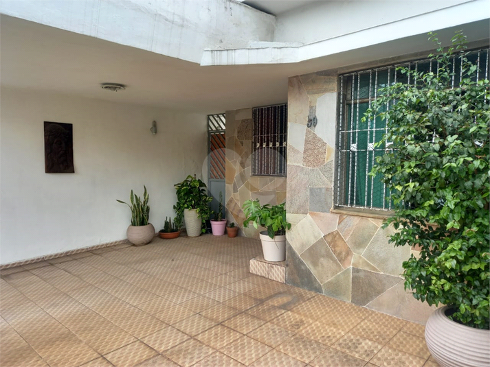 Foto REO1073832