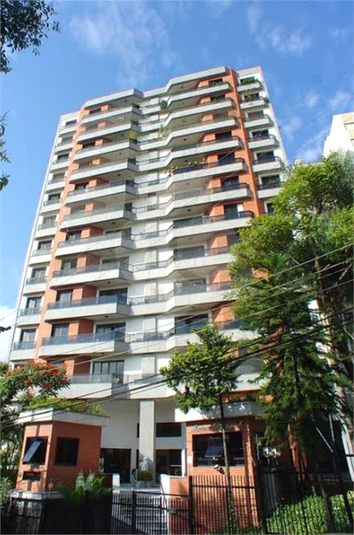 Foto REO1073836