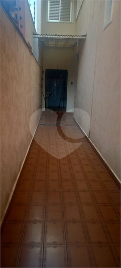 Foto REO1073841