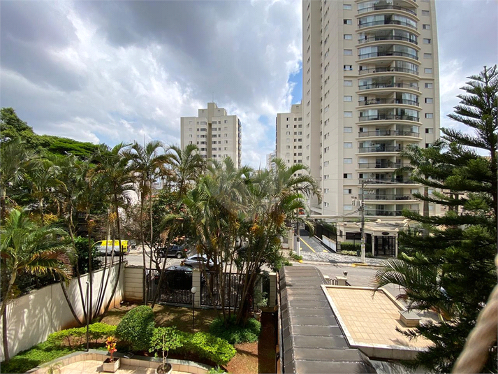 Foto REO1073844