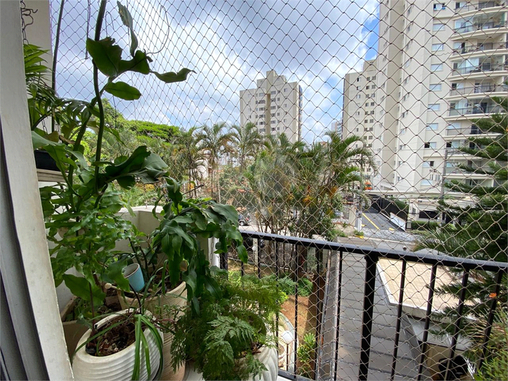 Foto REO1073844