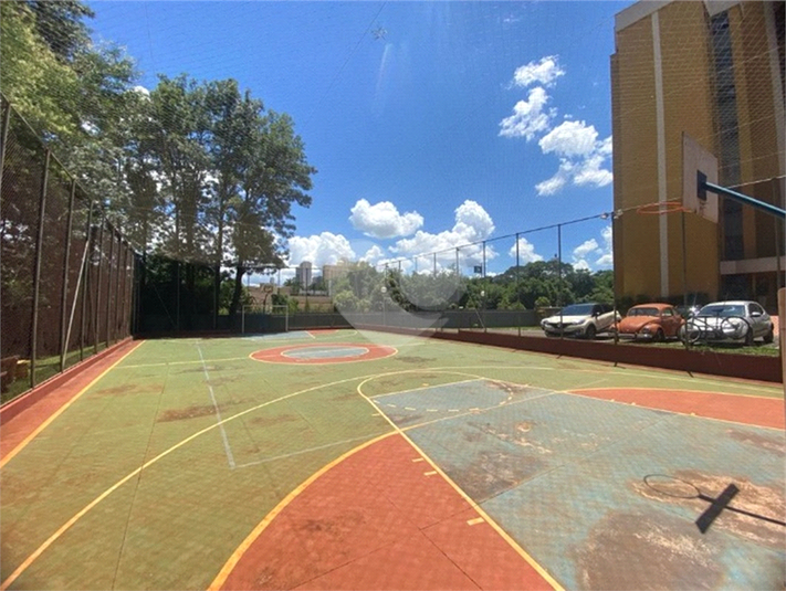 Foto REO1073881