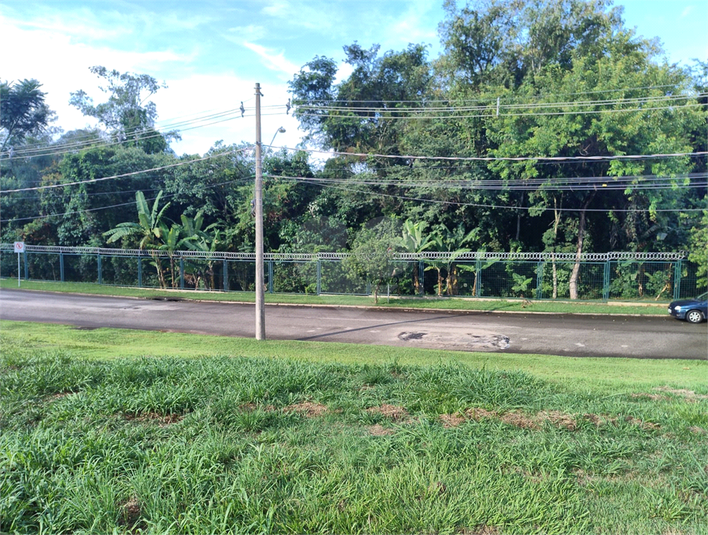 Foto REO1073918