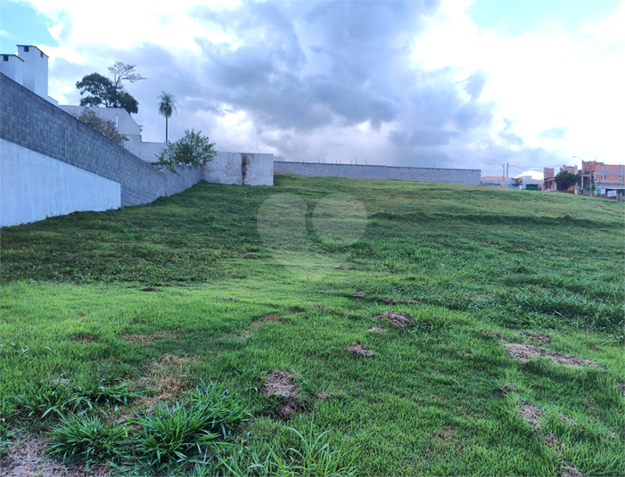 Foto REO1073918