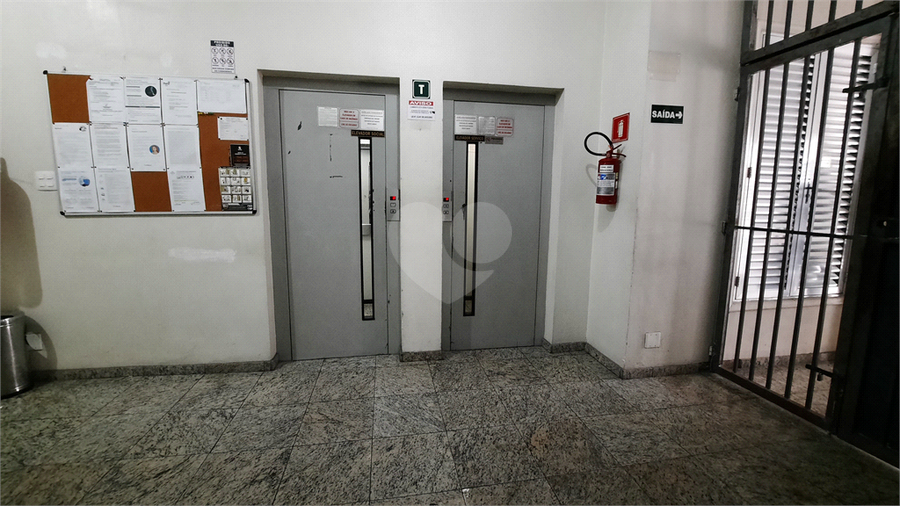 Foto REO1073920