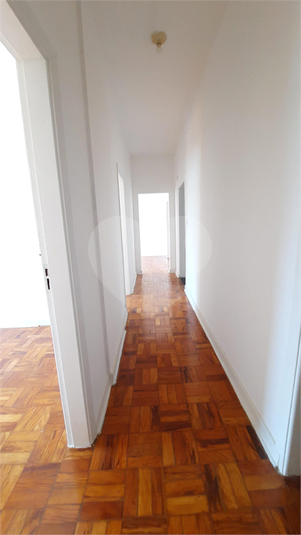 Foto REO1073920