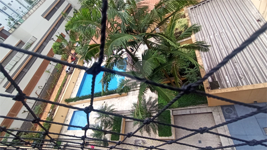Foto REO1073930