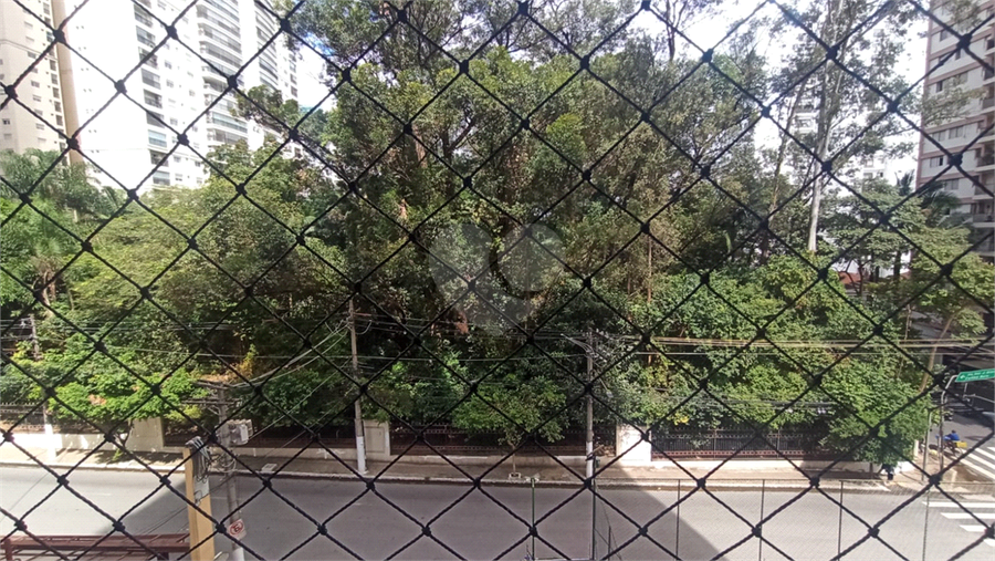 Foto REO1073930