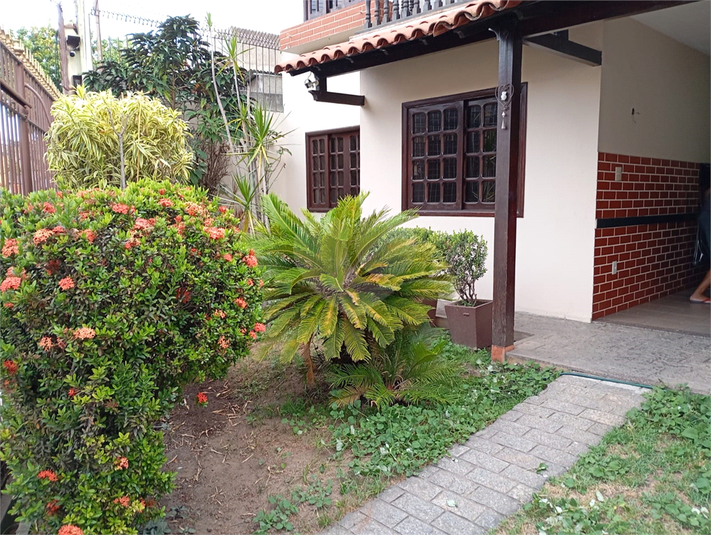 Foto REO1073939