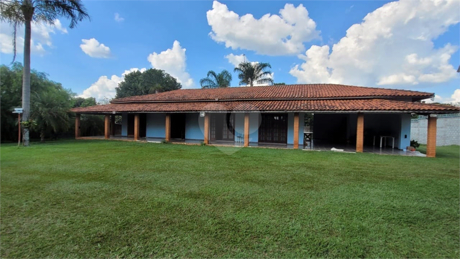 Foto REO1073957