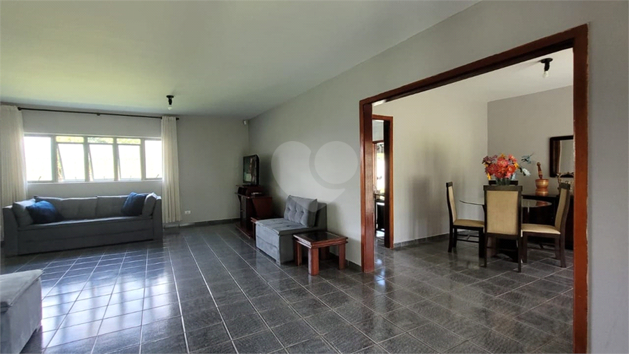 Foto REO1073957
