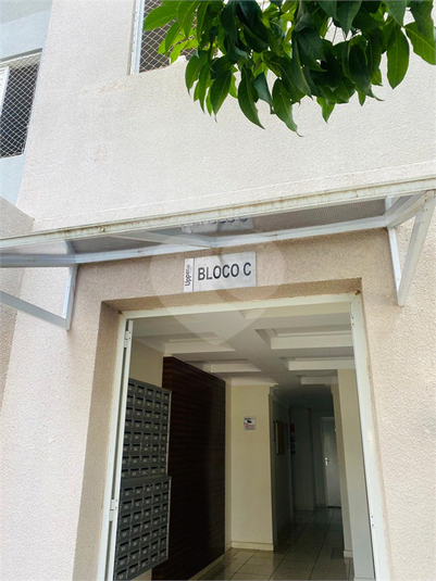 Foto REO1073960