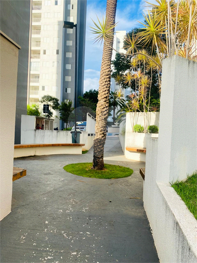 Foto REO1073960