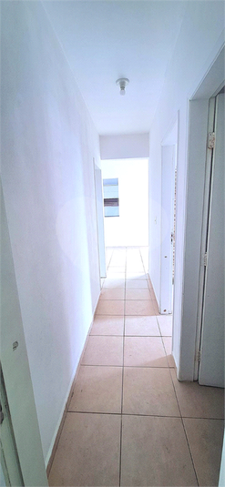 Foto REO1073962