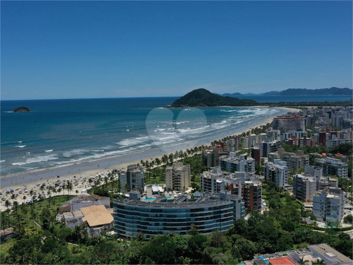 Foto REO1073966