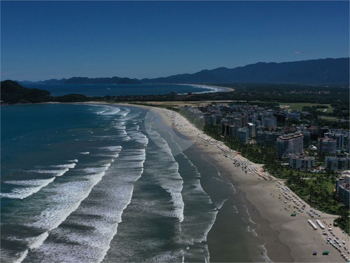 Foto REO1073966