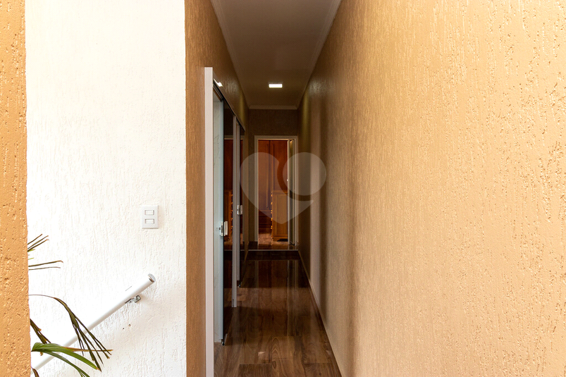Foto REO1073975